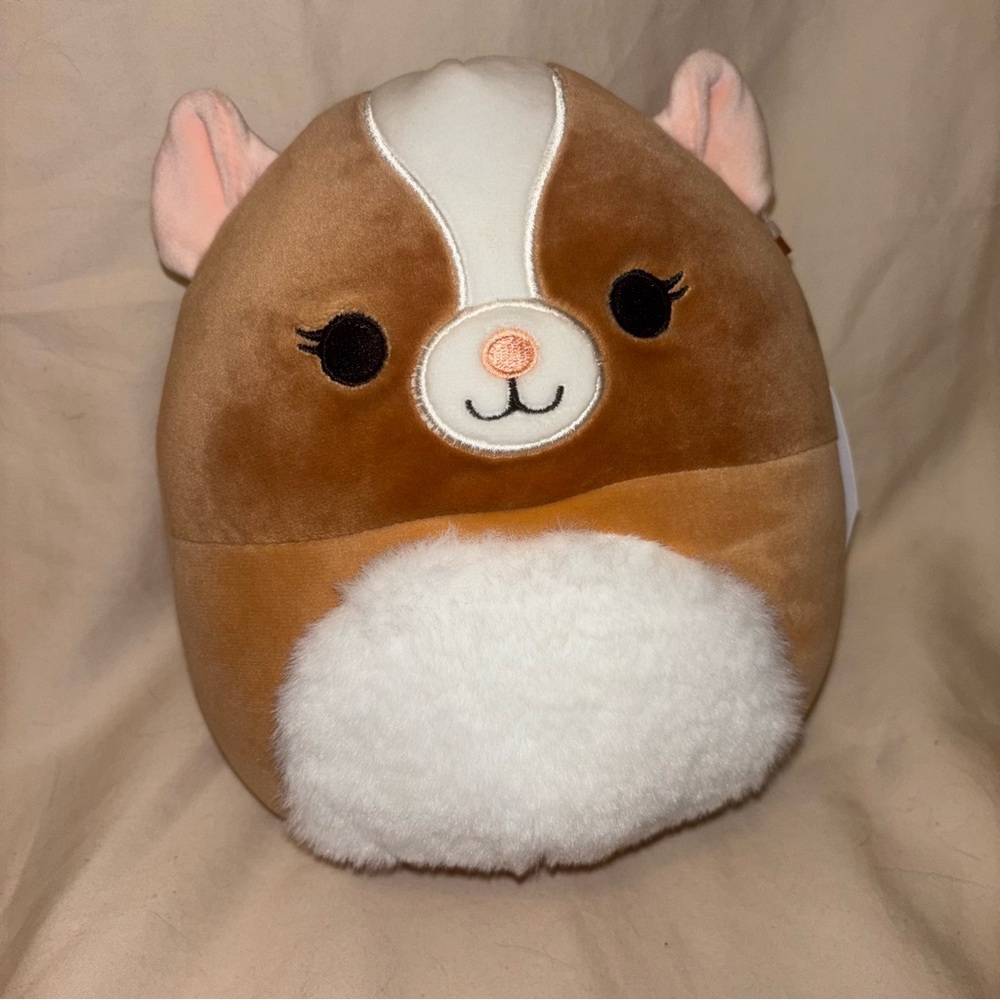 Squishmallow 2/$20 Garret the Guinea Pig 6” 2023 edition